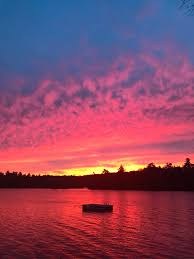 A small pine-covered island on Maranacook Lake