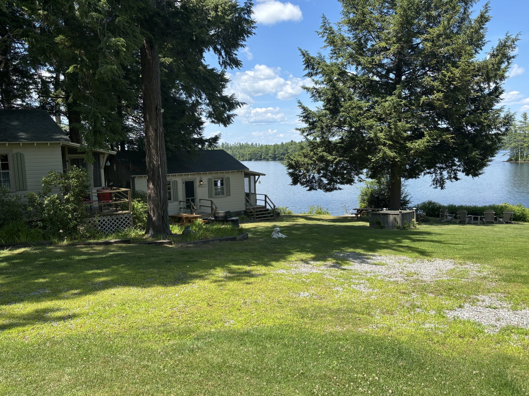 Yard view with lake, picnic table, and a dog