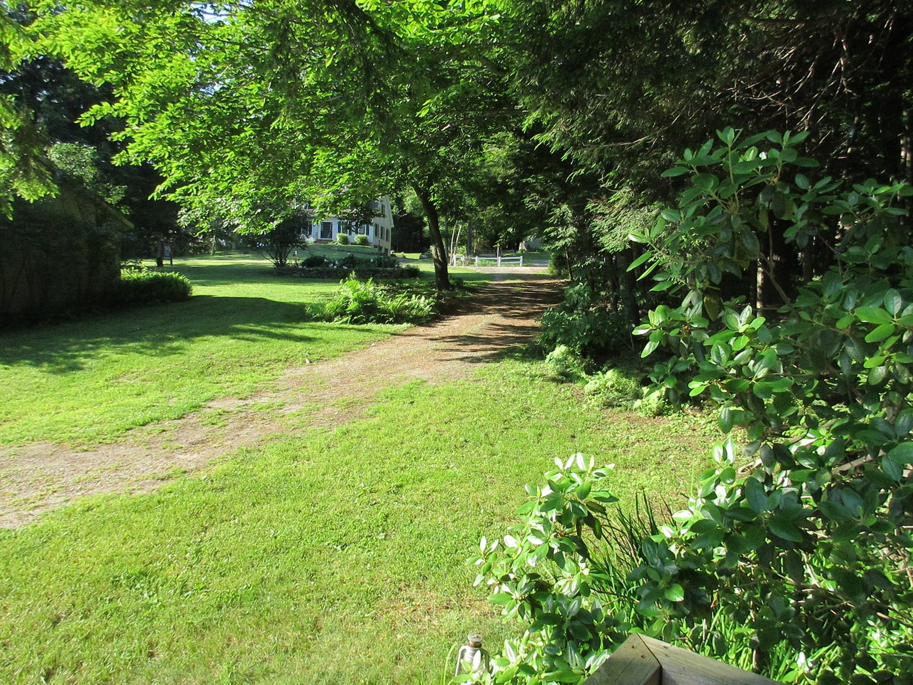 Tree-lined driveway leading to the property